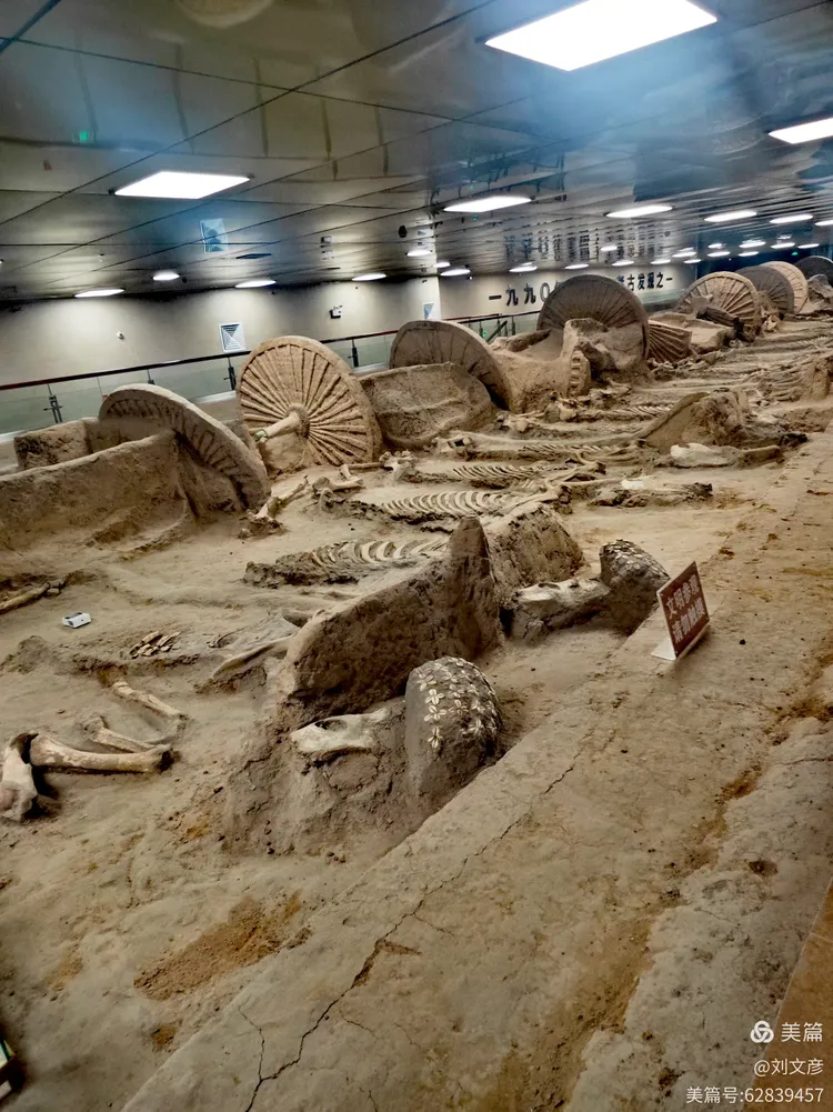 山东 淄博,古车博物馆,春秋殉车马坑遗址,2600年前,中国十大考古发现